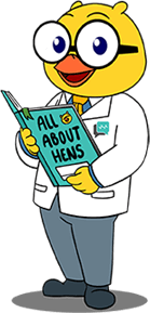 What are Hens?