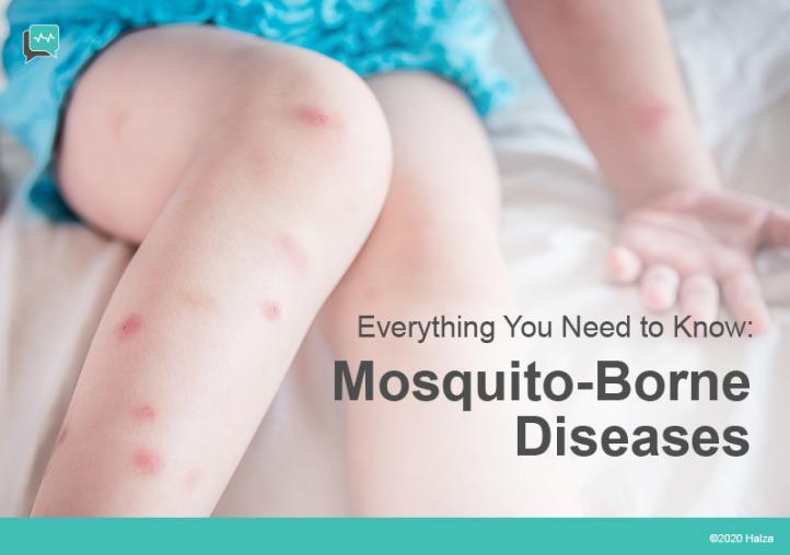 Mosquito – A Vector for Diseases