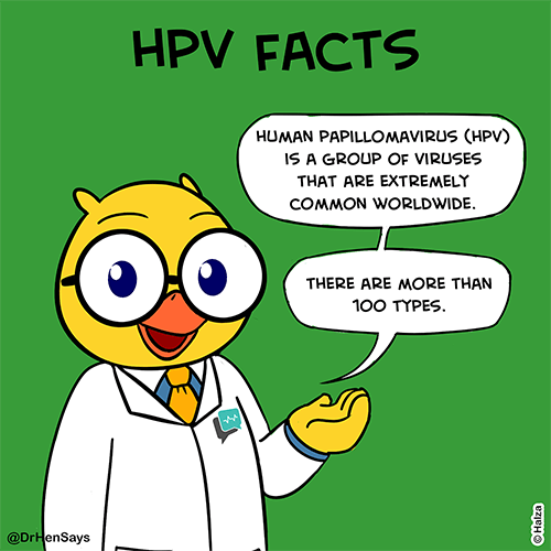 HPV facts